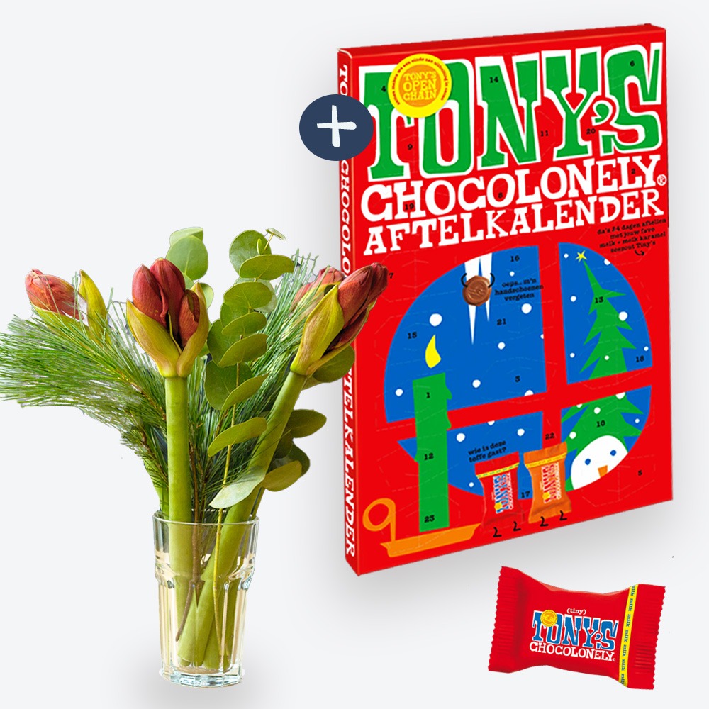 Amaryllissen met Tony's Aftelkalender