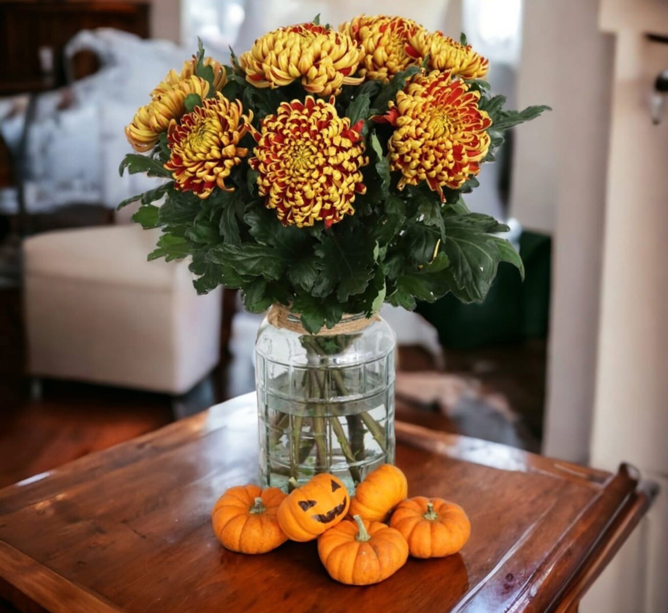 Chrysanten Tom Pearce