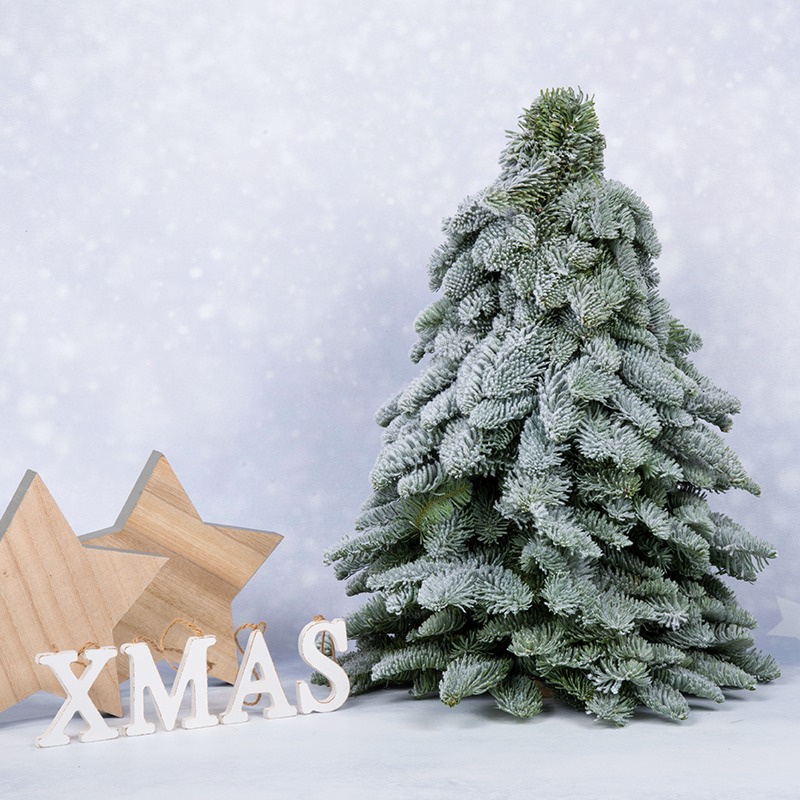 Kerstboompje met sneeuwlaag