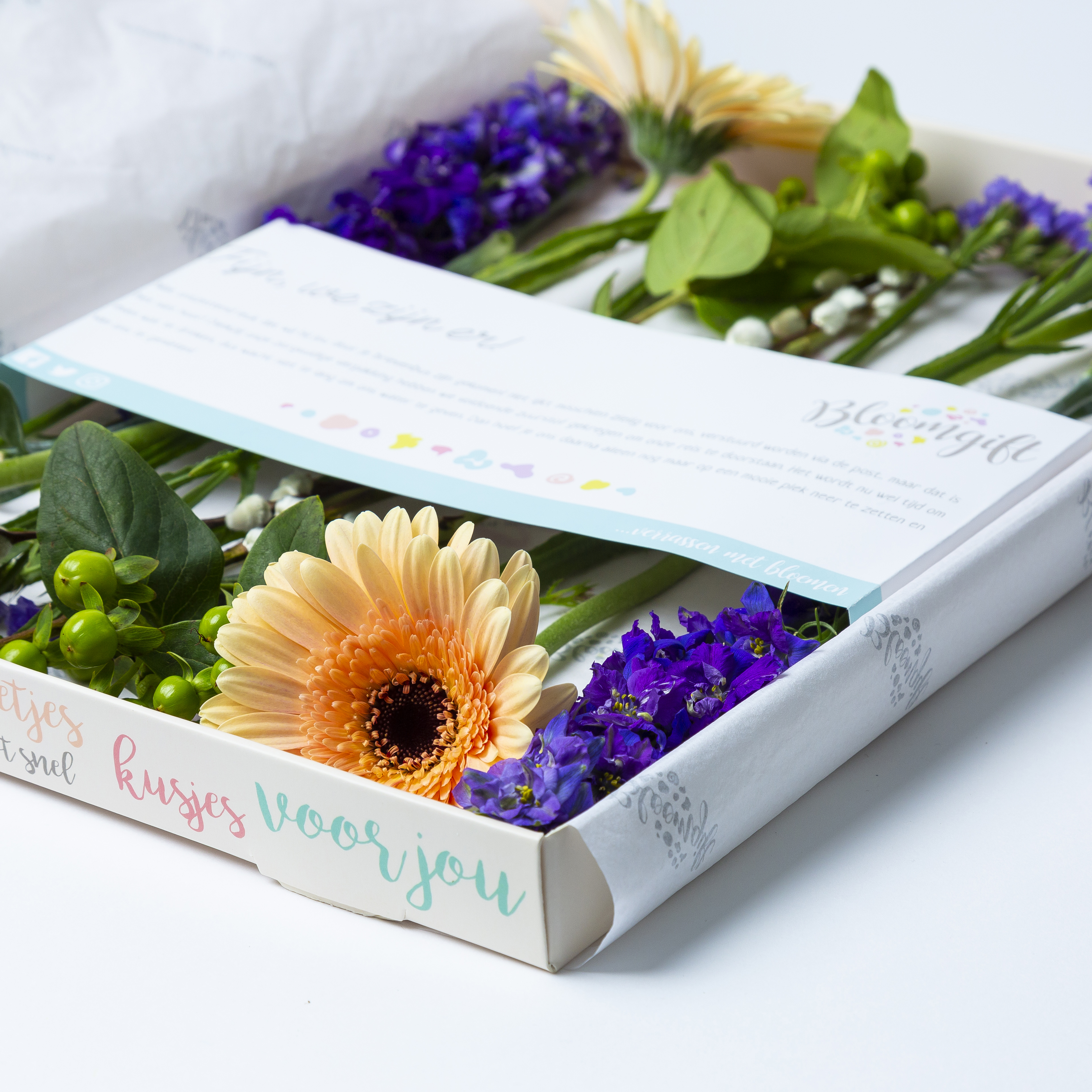 Brievenbusbloemen voorjaar