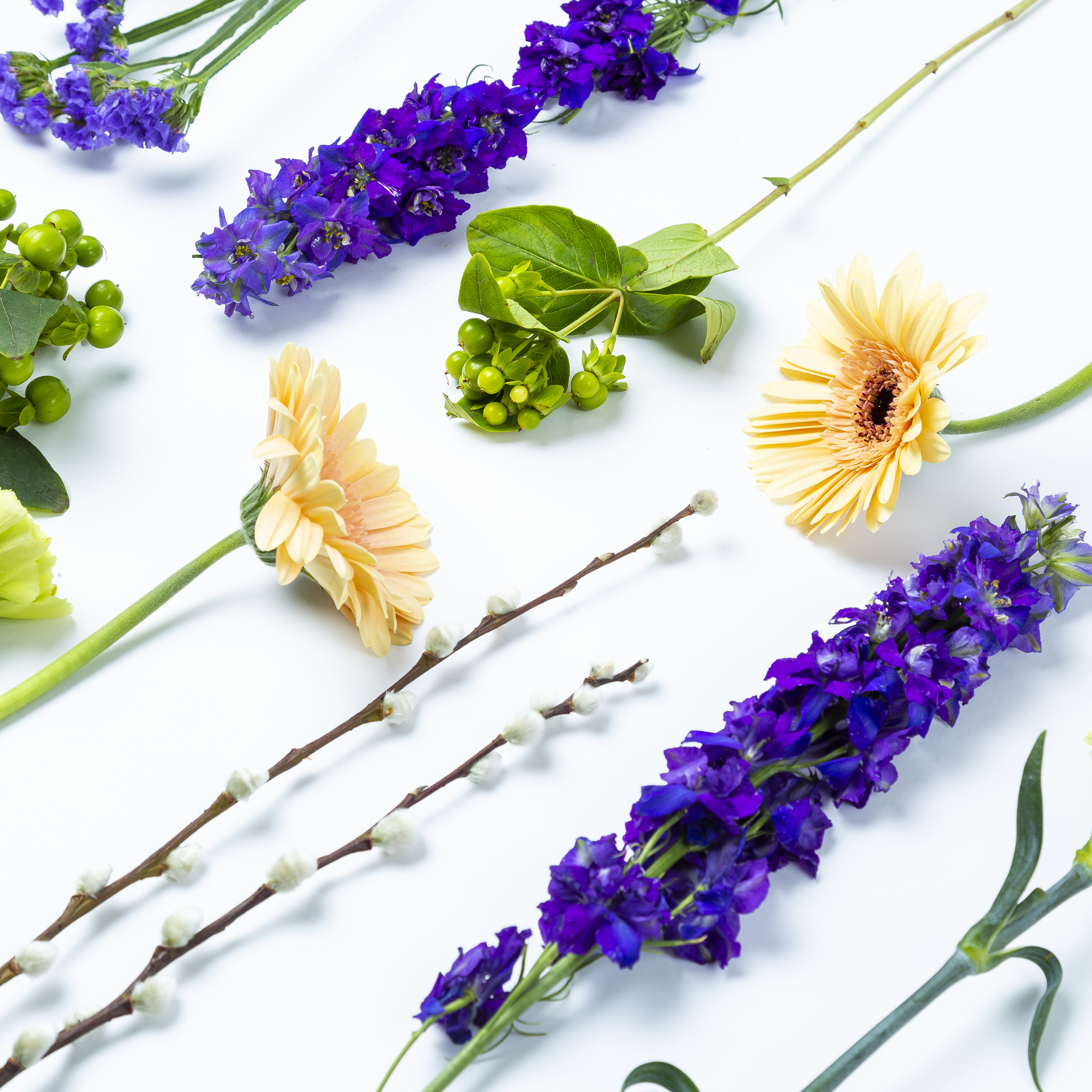 Brievenbusbloemen voorjaar liggend