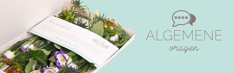 Algemene vragen