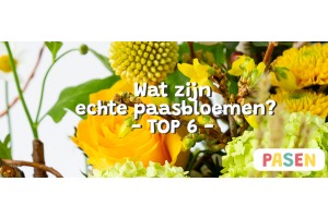 Typische paasbloemen