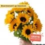 Abonnement bos bloemen