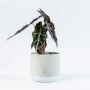 Alocasia Polly in betonnen sierpot