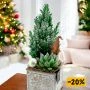 Picea kerstcreatie in woonkamer (aanbieding)