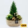 Picea kerststukje in gouden sierpot