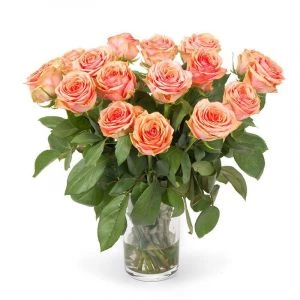 Rozen Dividend | 10 stelen