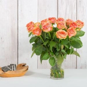 Rozen Dividend | 10 stelen