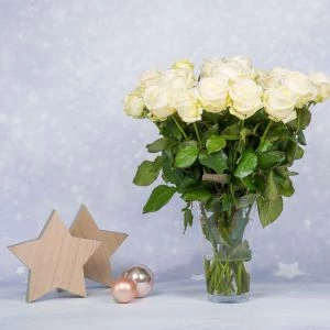 Rozen Snowy Mountain