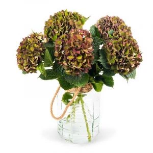 Doorgekleurde Hortensia's in vaas (modelfoto)