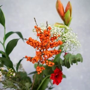 Kerst Plukboeket Jingle Bells