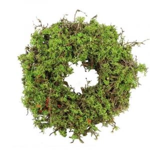 Kerstkrans Bonsai Mos Groen 30cm