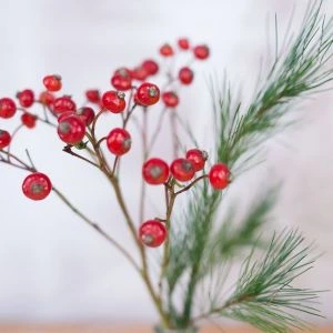 Kerstboeketje Feliz Navidad