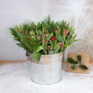 Tulpen rood in zinken emmer sfeerfoto