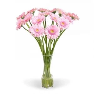 Vaas Cilinder (H20 Ø12)