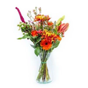 Plukboeket Oranjefeest