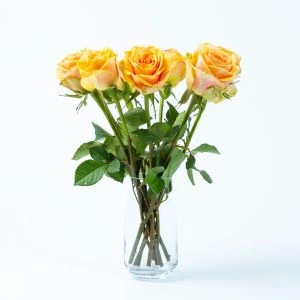 Brievenbus Rozen abrikoos