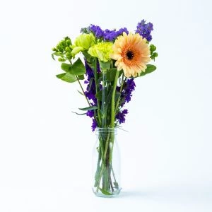 Brievenbusbloemen Voorjaar