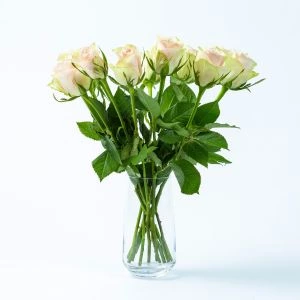 Brievenbus Rozen roze | 12st