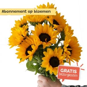 Abonnement bos bloemen