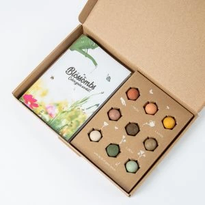 Blossombs zaaibommetjes in giftbox