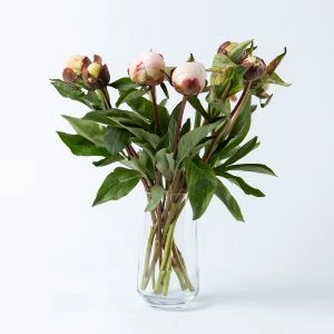 Brievenbus Pioenrozen Witroze