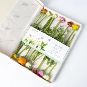 Ranonkels in een brievenbusverpakking (bovenaanzicht)