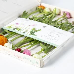 Brievenbus Ranonkels Mix