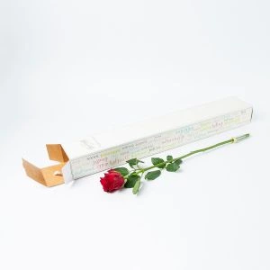 Enkele rode roos inclusief waterflesje en verpakking