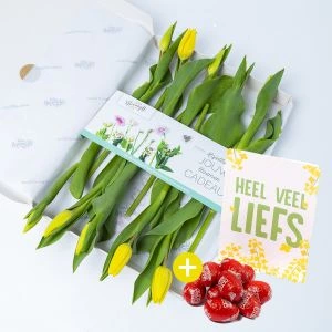 Gele brievenbustulpen met paaseitjes en kaartje