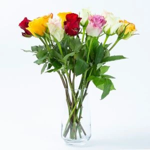 Brievenbus Rozen Mix | 12st