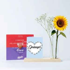 Geslaagd brievenbus kaarthouder