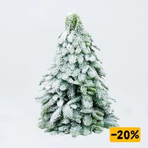 Kerstboom met sneeuw in de aanbieding