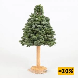 Kerstboompje (30) op Stam 60cm