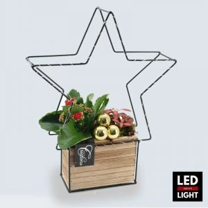 Kerstster Shiny Star