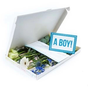 Brievenbus Kraamcadeau Boy