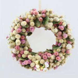 Krans Gomphrena Wit-Roze | 30ccm