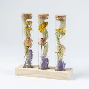 Brievenbus droogbloemen: Message in a bottle Multi modelfoto