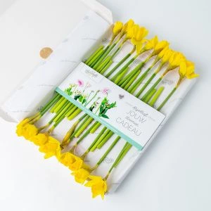 Narcis brievenbusbloemen 
