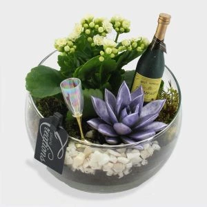 NIeuwjaar plantcadeau in glas