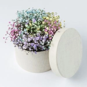 Regenboog Bloementaartje