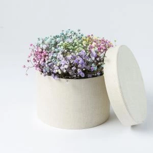 Pastel gipskruid bloementaartje vooraanzicht