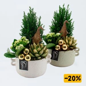 Picea kerstcreatie Winter