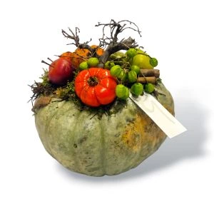 Pompoen Herfstcreatie 