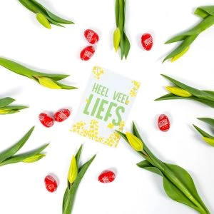 Brievenbus Tulpen + Extra grote Tony's Paaseitjes