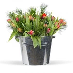 Tulpen in Zinken Emmer 