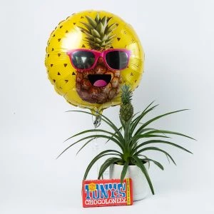 Zomerse combi deal met ananasplant en Tony's