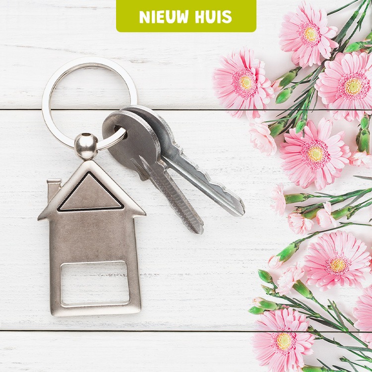 Nieuw huis