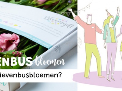 Brievenbusbloemen: Wat zijn het en waarom zijn ze zo populair?